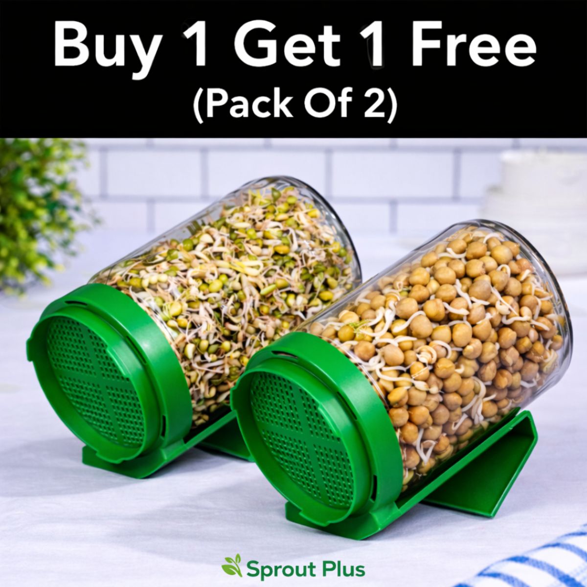 Premium Sprout Maker Bottle Set (Pack of 2)
